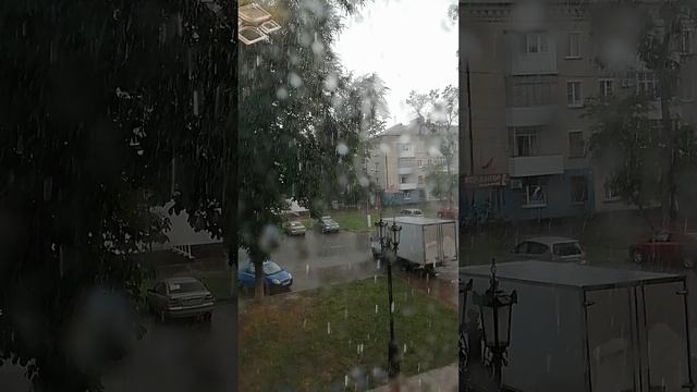 Ливень. Поход на речку не удался.