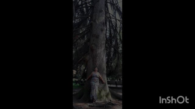 Мы снова в Кисловодске.mp4