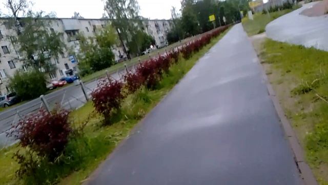 Дождевик