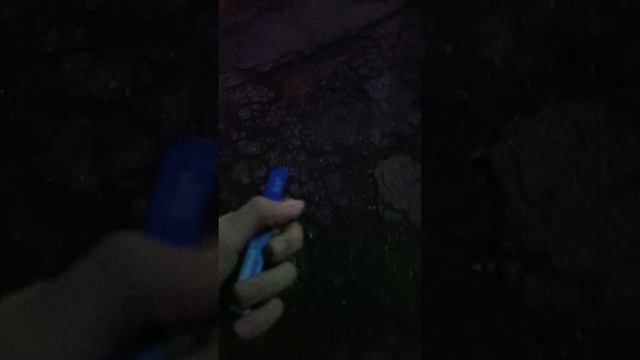Опасный поход до магазина