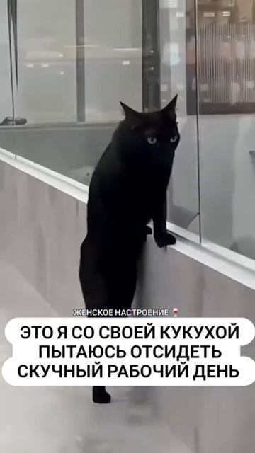 Работа