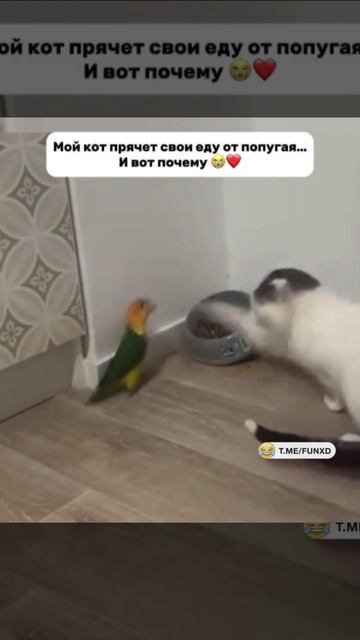 Отжал😆