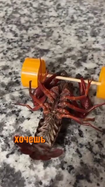 Спорт = деньги