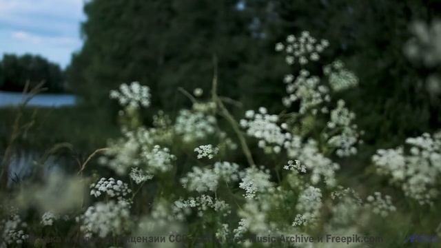 Этот контент создан для жителей будущего - но доступен вам сейчас! - Small Spaces -- Steve Combs --