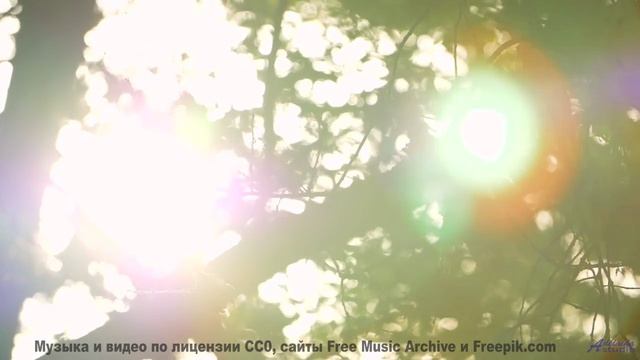 Музыка, которая звучит громче, когда вы делите одно окно в поезде - Clarity -- Ryan Andersen -- Pop