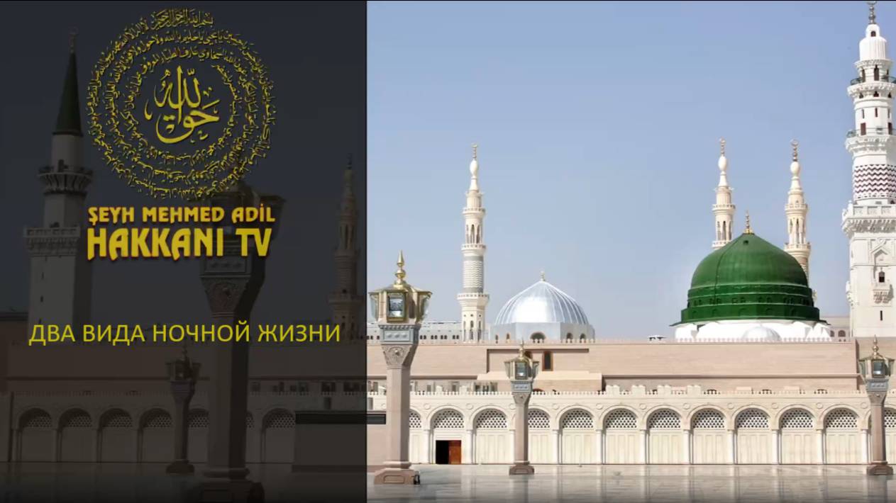 Два вида ночной жизни