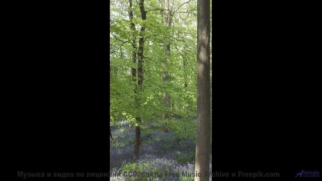 Ты почувствуешь, как что-то меняется внутри после просмотра! - A Quiet Day -- Kirk Osamayo -- Season