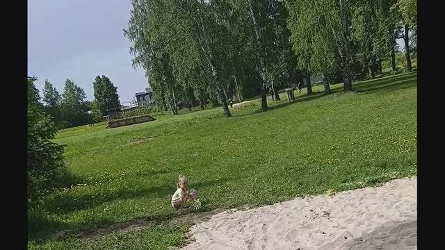 Вывод; Не делай то что говорят. Бабушка плохого не посоветует.