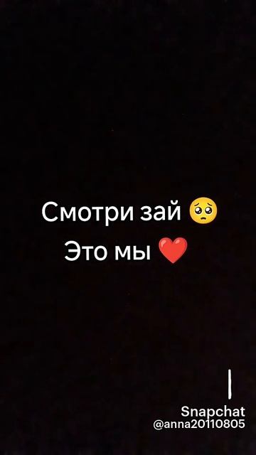 🐱