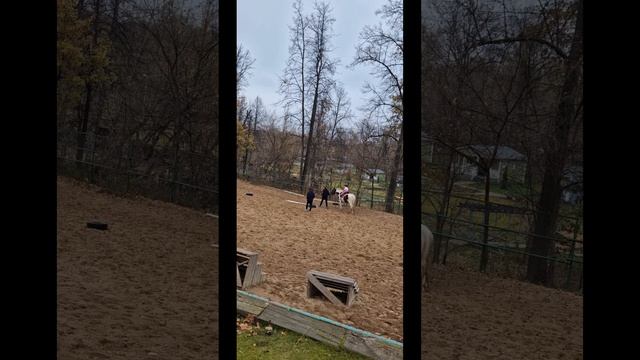 🌳✨ ГЛЭМПИНГ ЛЕС И РЕКА | День 2 — Катание на лошади верхом впервые🌲🐎