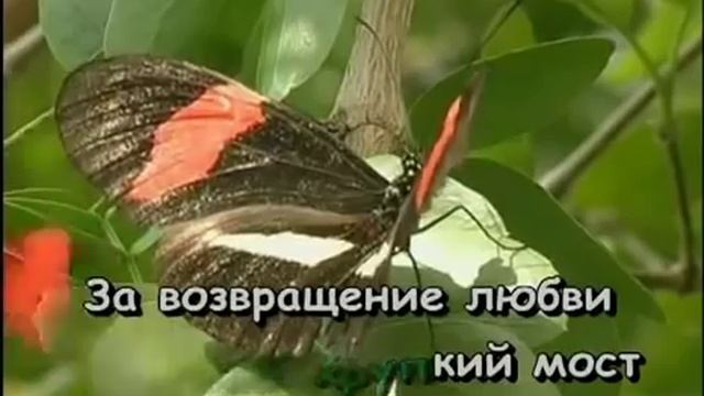 Выпьем за любовь