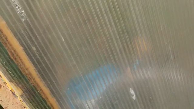 Будни егеря. мой огород.🏡 6.06.25.