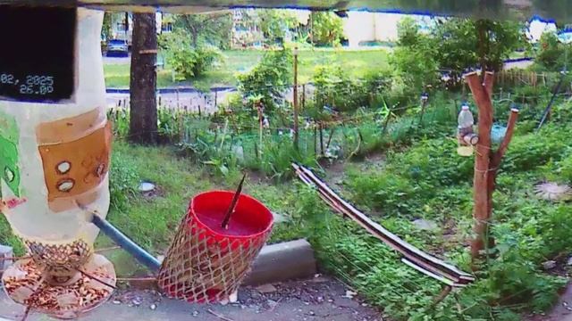В прокуратуру МосквыПод окном 2025 июнь 01 - 03 яндекс такси колясочник