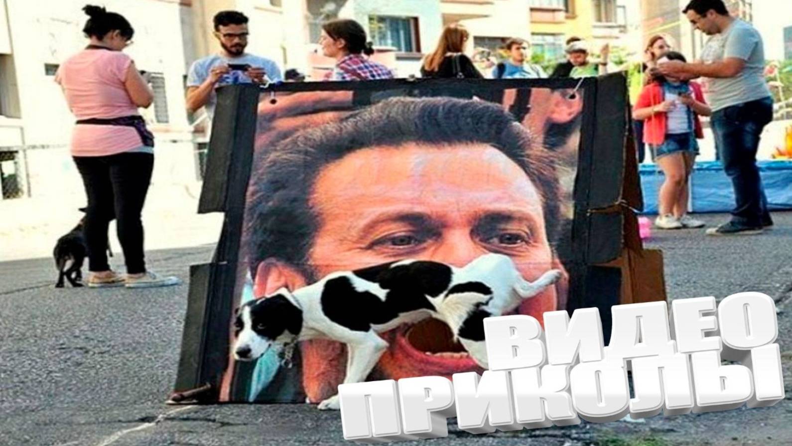 СМЕШНЫЕ ВИДЕОПРИКОЛЫ Чудики из ТИК ТОК 🤣😎👍 , лучшие приколы и видео 2025