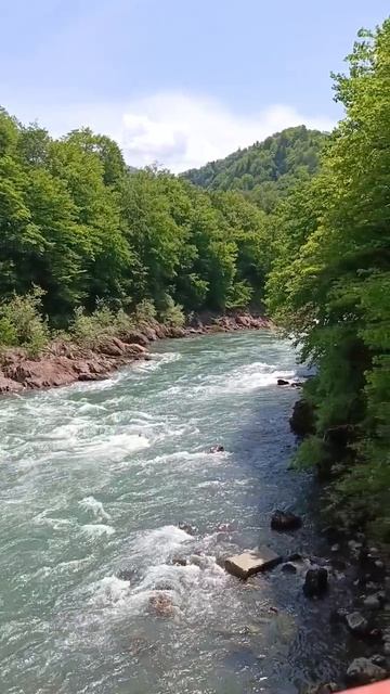 АДЫГЕЯ РЕКА БЕЛАЯ