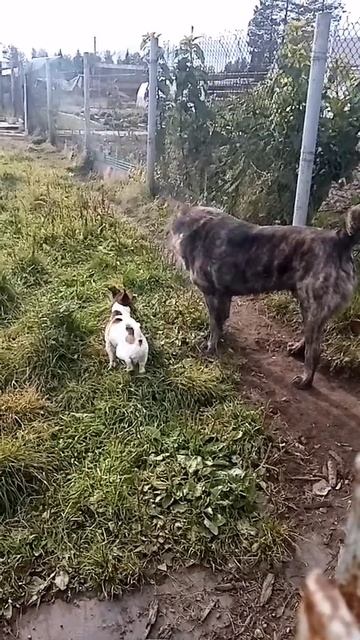 @sergeyukhta6=323767.mp4