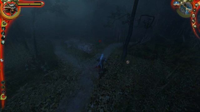 The Witcher: Enhanced Edition Director's Cut #15 ➠ Часовой, Таинственная Ба?