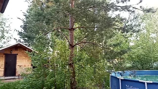 VID_20250610_190031.mp4