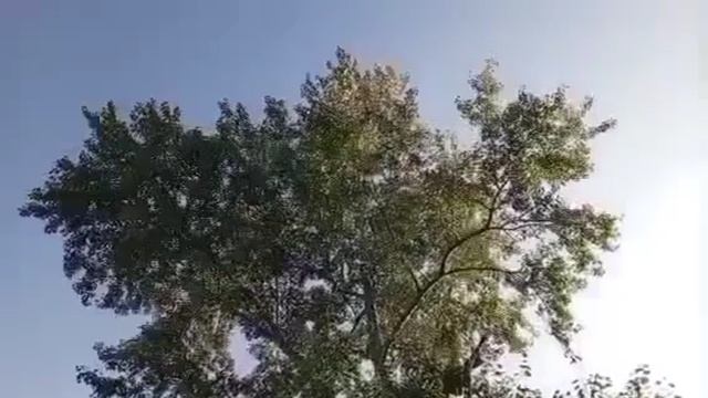 Interesting video #Spring #Summer #2025