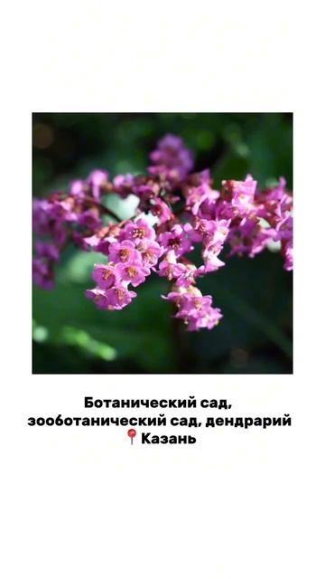 Подборка самых крупных и старейших ботанических садов России.