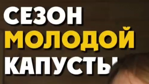 Сезон молодой капусты