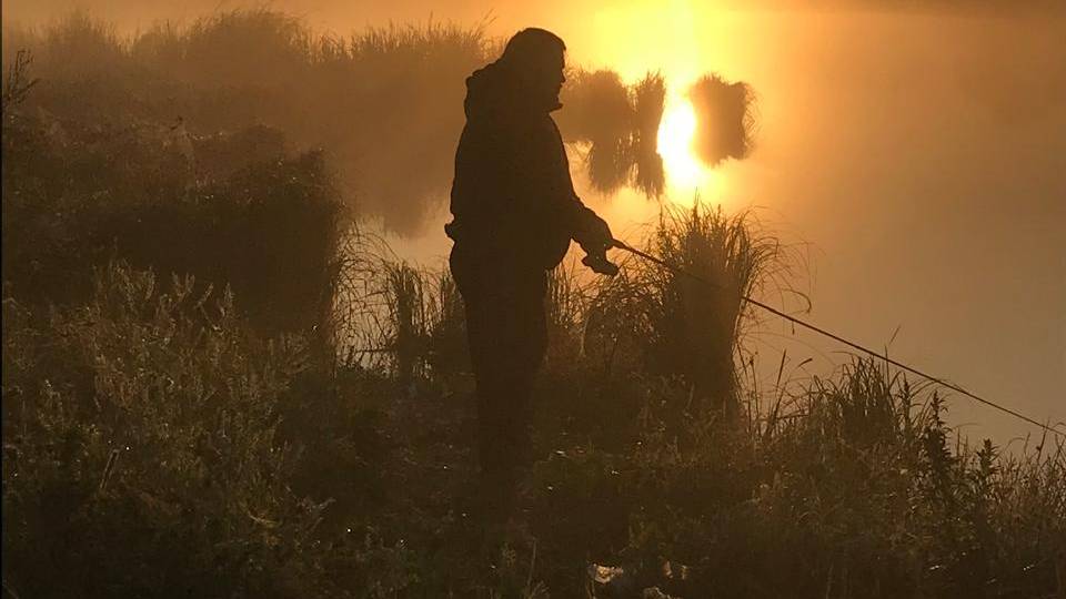 Fisher online