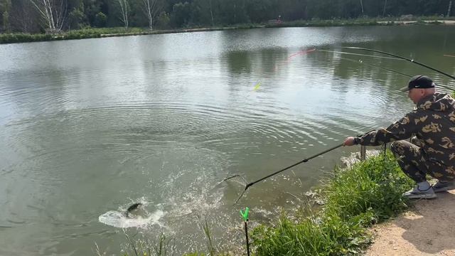 Поимки форели на водоеме