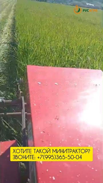 Минитрактор Агромаш МТ-110, работа с косилкой🔥