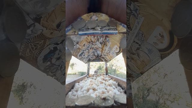 1000044438.mp4Кормушка.10.06.2025г.