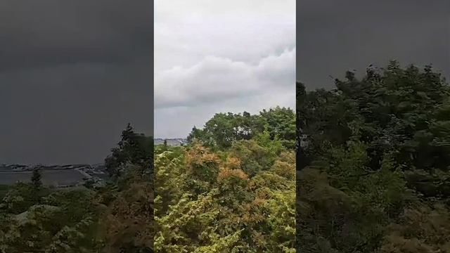 7 соток в можжевельнике ,Федотовка.mp4