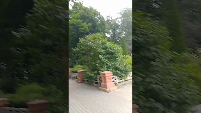 Шамординский женский монастырь. Казанская Амвросиевс