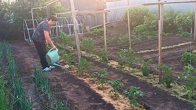 10.06.2025г.СЕГОДНЯ Я РАННЯЯ ПТАШКА😊// 
НАШ КАНАЛ, ПРО ОБЫЧНУЮ СЕЛЬСКУЮ ЖИЗНЬ🏡🌲🌷