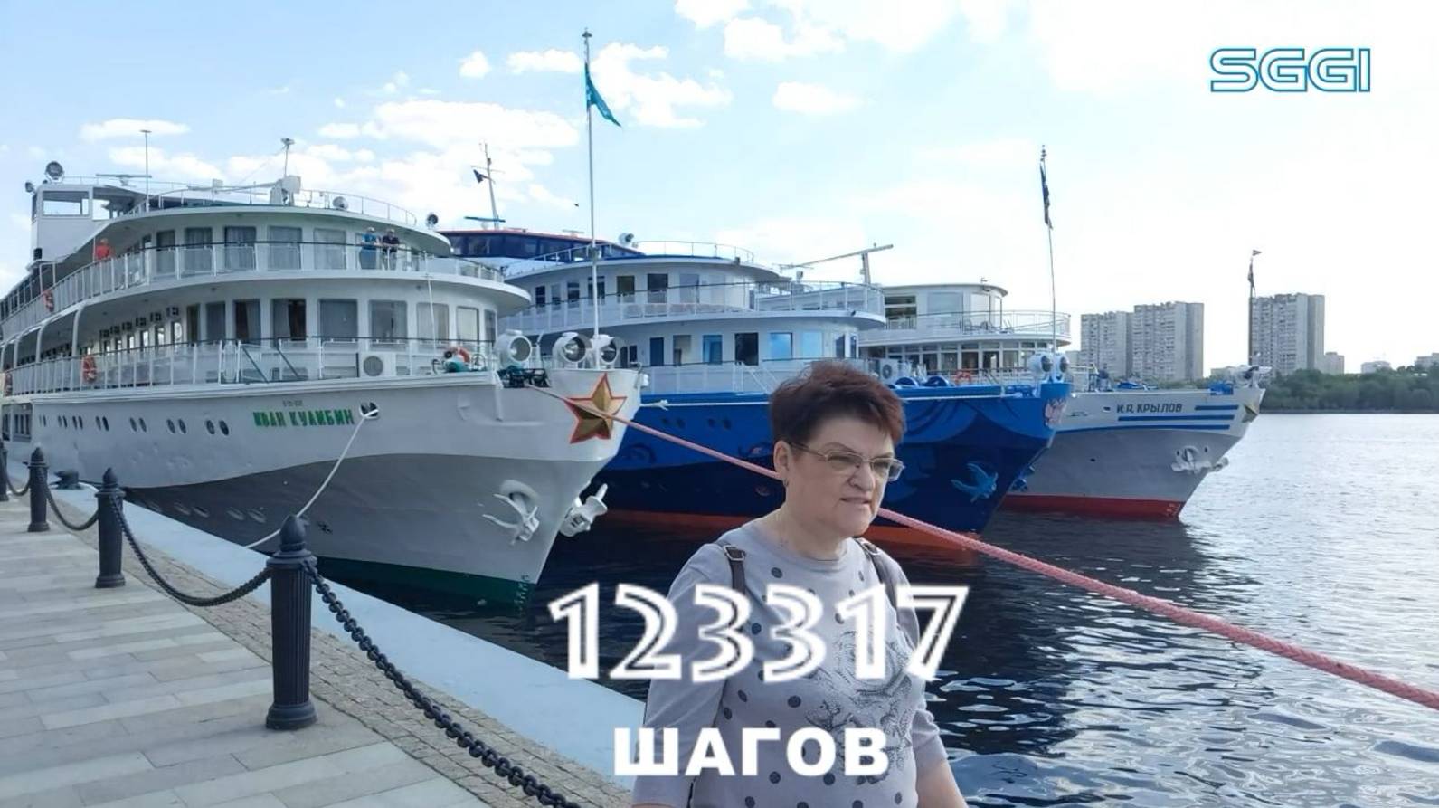 123317 шагов