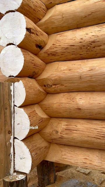 Канадская технология рубки, ее технология и особенности 🏠🪵