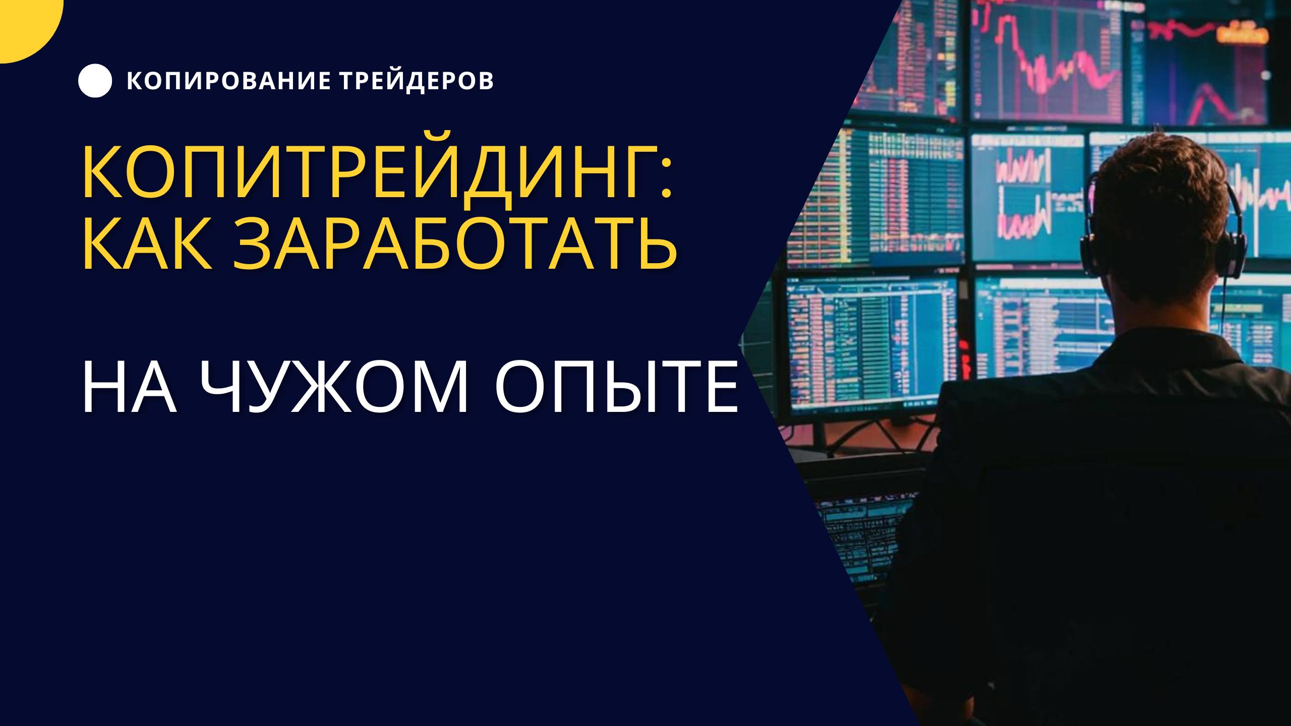 Копитрейдинг как заработать на чужом опыте