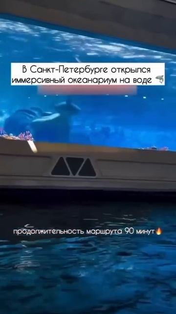 😱 В Санкт-Петербурге открылся новый иммерсивный океанариум! Адрес места в нашем телеграм-канале