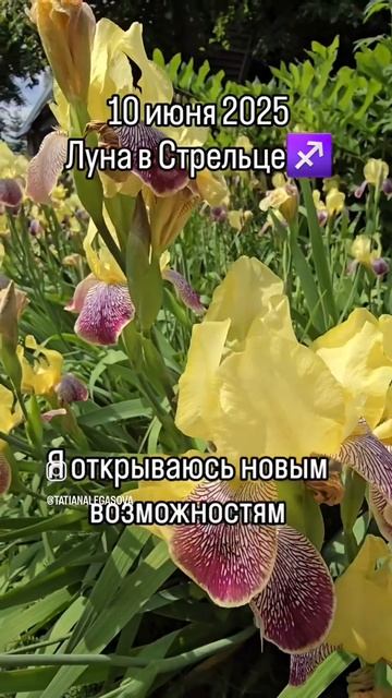 #10июня2025 #гороскопдня