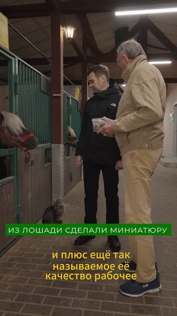Самые лучшие пони в мире!