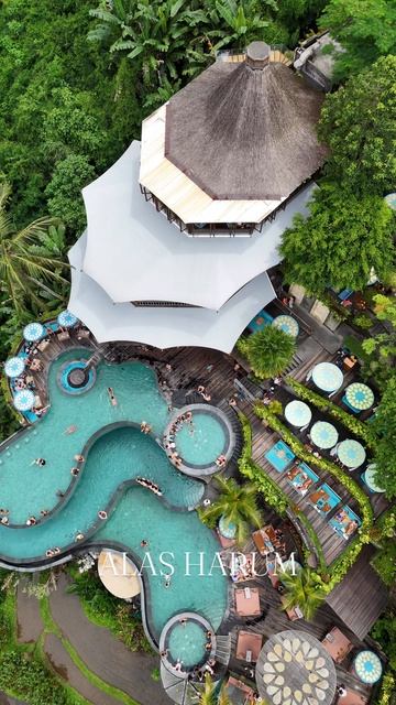 и это на БАЛИ, дешевле Турции в 10 раз