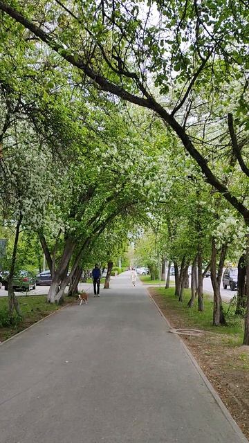 Одесская Тюмень