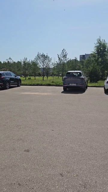 Акция «Найди подарочный сертификат от "Престиж Авто" 🚗🎁