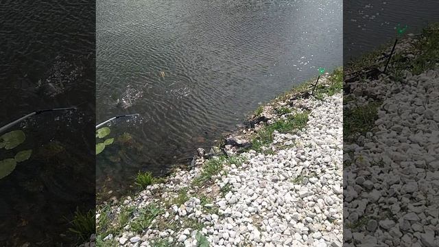 1000071765.mp4