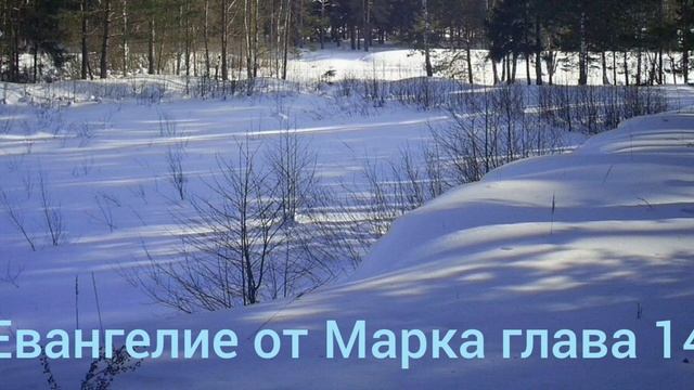 Библия Евангелие от Марка глава 14
