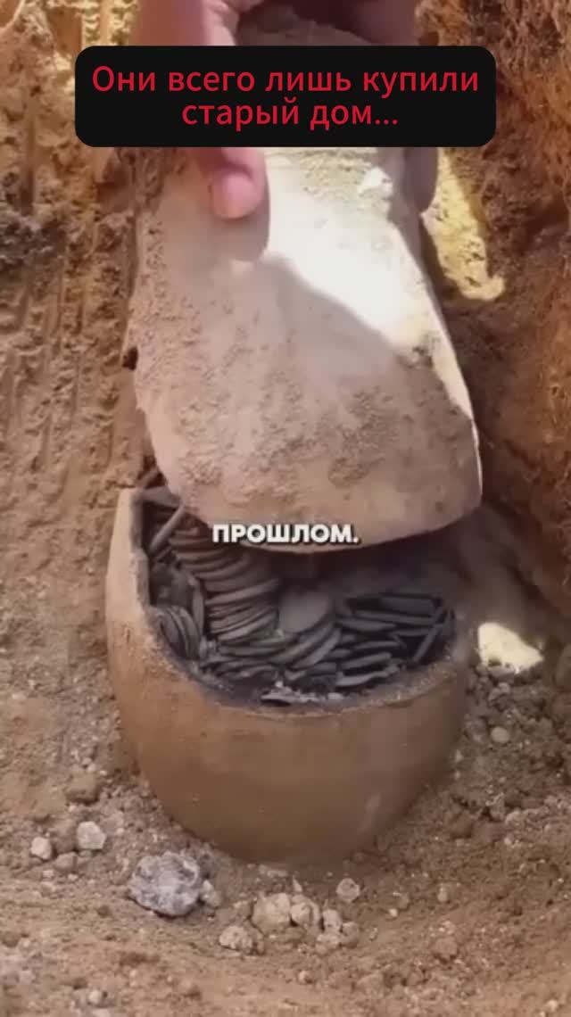 Они всего лишь купили старый дом