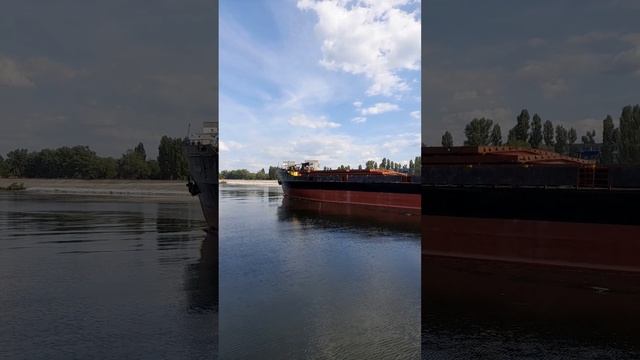 1000044386.mp4Волга.10.06.2025г.