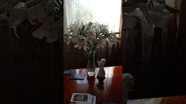 Таро.Кто к вам объявится.