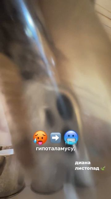 За что все любят баньку?🤤