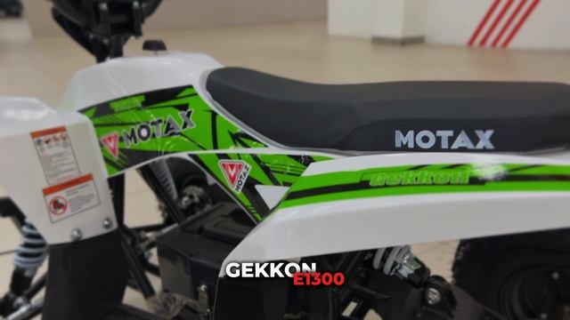 Детский электрический квадроцикл MOTAX GEKKON E1300 черный-белый-зеленый