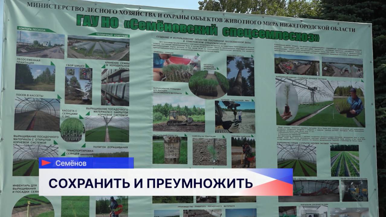 Депутаты Нижегородской области посетили местный селекционно-семеноводческий комплекс