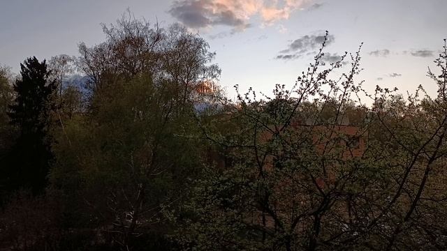 Апрельские виды